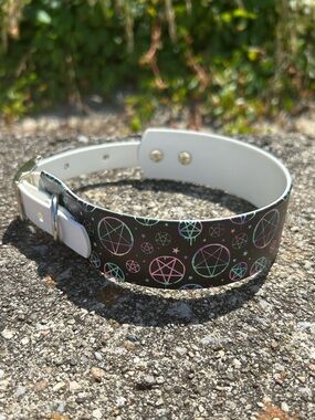 Biothane Collar -L1